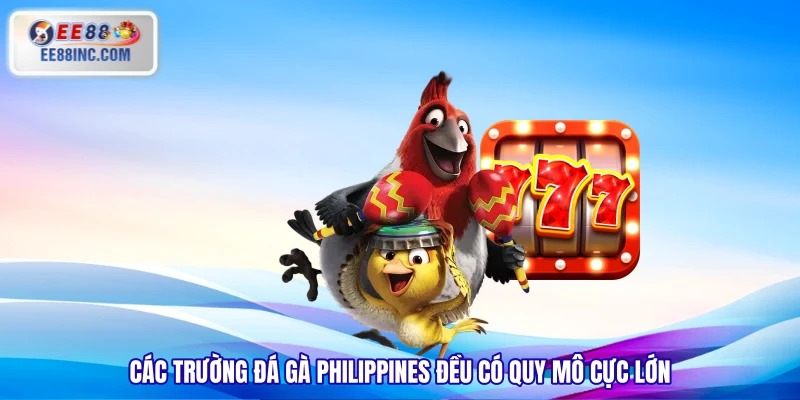 Các trường đá gà Philippines đều có quy mô cực lớn Các trường đá gà Philippines đều có quy mô cực lớn