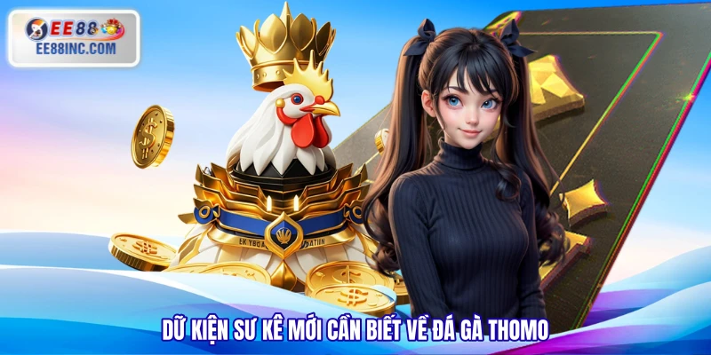 Dữ kiện sư kê mới cần biết về đá gà Thomo Dữ kiện sư kê mới cần biết về đá gà Thomo