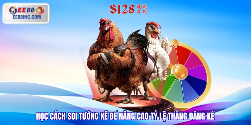 Học cách soi tướng kê để nâng cao tỷ lệ thắng đáng kể Học cách soi tướng kê để nâng cao tỷ lệ thắng đáng kể