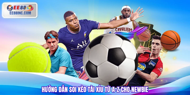 Hướng dẫn soi kèo tài xỉu từ A-Z cho Newbie Hướng dẫn soi kèo tài xỉu từ A-Z cho Newbie