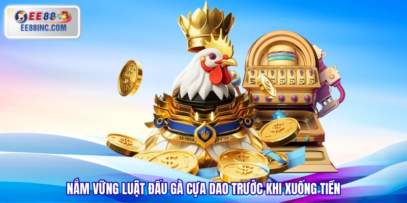 Nắm vững luật đấu gà cựa dao trước khi xuống tiền Nắm vững luật đấu gà cựa dao trước khi xuống tiền